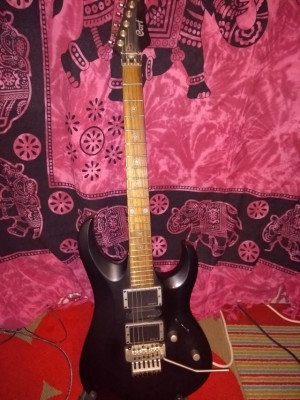 Guitarra Cort EVL X4