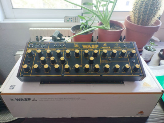 Behringer Wasp