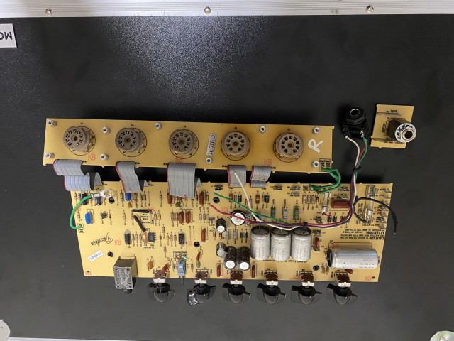 Placa con circuito y tanque de reverb Fender blues junior