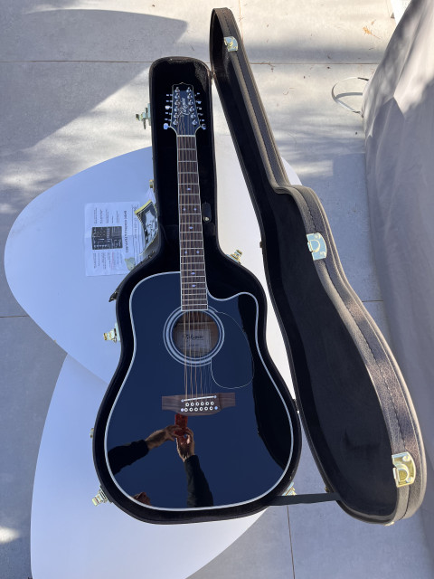 Takamine EF 381 SC