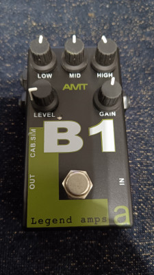 AMT B1 - Bogner