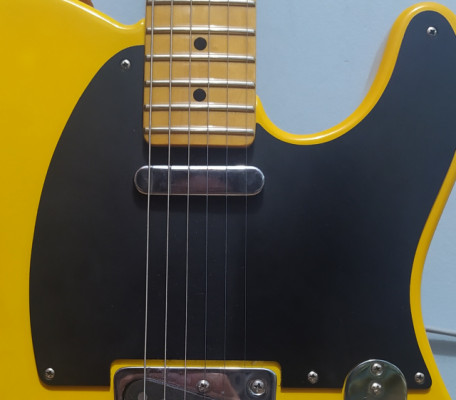 Compro Pastilla Telecaster Mástil