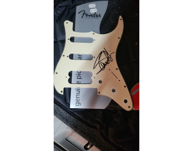 Golpeador Fender Firmado Steve Harris