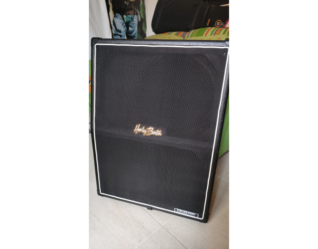 Pantalla Harley Benton G212 Vintage Verticle