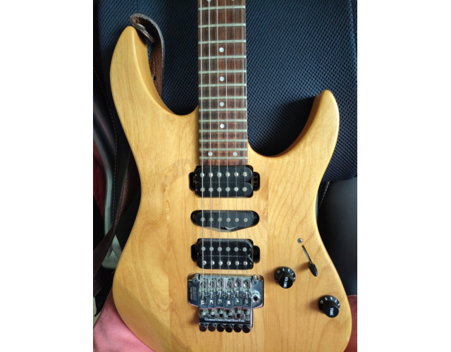 Puente Floyd Rose