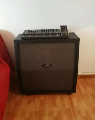 4x12 | Pantalla Peavey Valveking