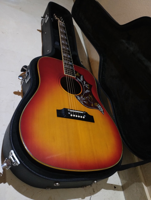 Ibanez Concord 684 Hummingbird