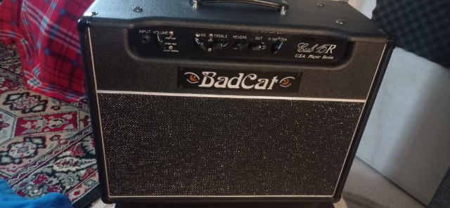 Bad Cat Cub 15r