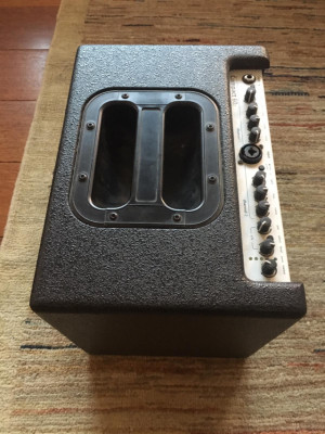 Aer Compact 60/2 + Flight Case (Reservado) de segunda mano por 650 € en