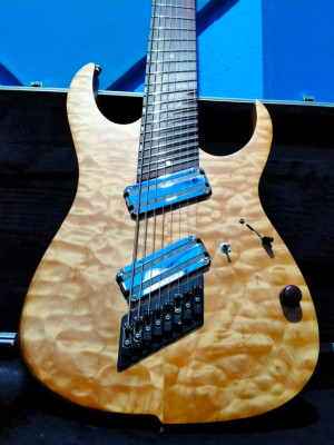 Guitarra Siggery Heresy FF8 Custom