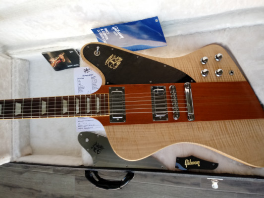 Gibson firebird limited edition