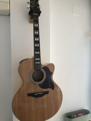 Rebaja.   Guitarra acústica Takamine EG 523