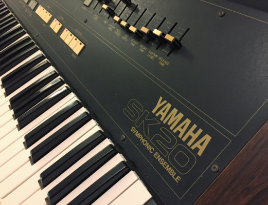 Yamaha SK20, revisado e impoluto