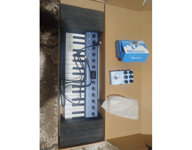 Sintetizador,cobalt5s,y pedal reverb