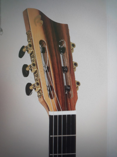 Guitarra Bros Modelo Intiluna