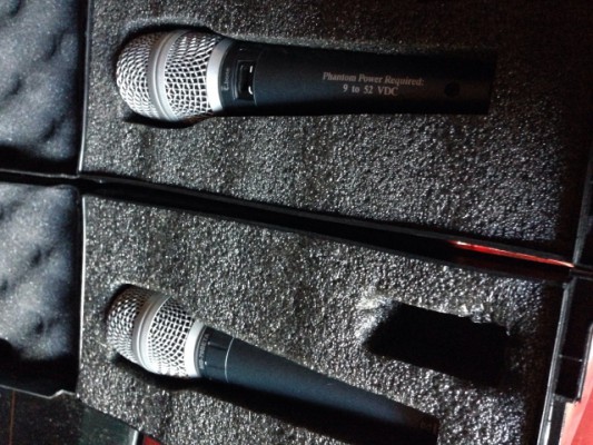 2 microfonos The Tbone 78 Beta