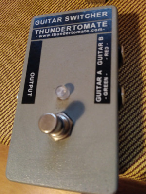 Pedal switcher thundertomate