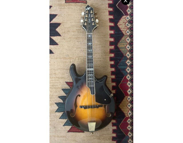 Mandolina Goldtone GM110