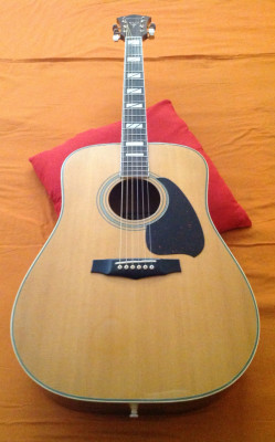 Ibanez A-340
