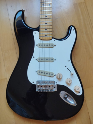 Stratocaster Partcaster