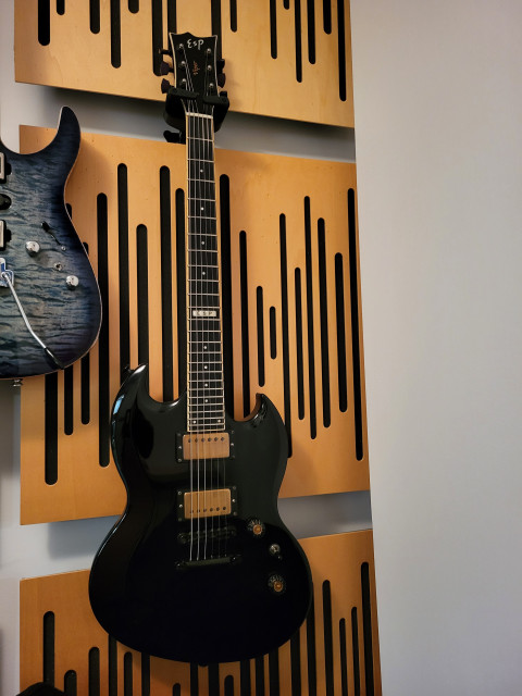 Guitarra Esp Viper