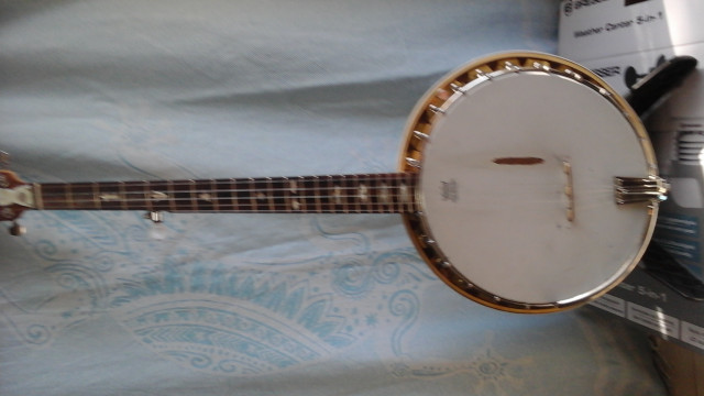 Banjo 5 cuerdas #3