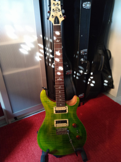 Guitarra PRS SE Custom 24-8 Eriza Green