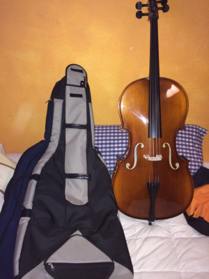 Vendo Violonchelo 4/4 BARATO