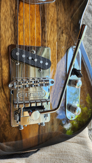 Stetsbar Pro II Telecaster