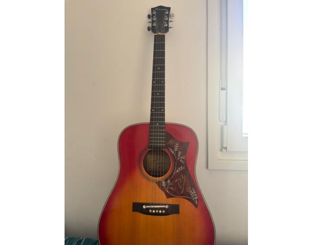 Guitarra Acustica Concerter.