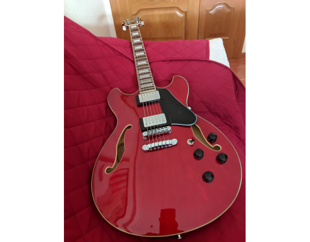 Estuche para Ibanez AS 73