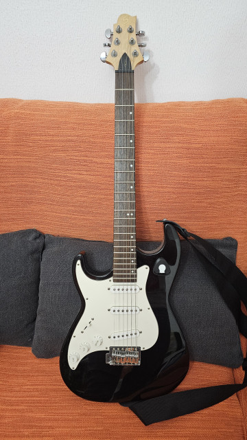 Guitarra Electrica Greg Benett Signature Stratocaster