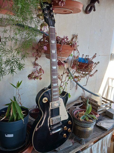 Gibson Les Paul Standard 50s EB!