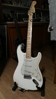 Fender Stratocaster Standard MIM, con DiMarzio HS3 y HS4
