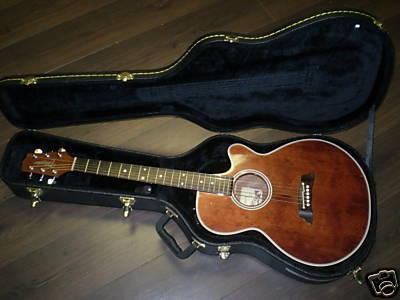 Vendo Guitarra electro- acústica Takamine modelo PRO. EF 2618 AN Made in Japan