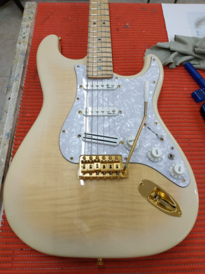CAMBIO Fender Stratocaster Richie Kotzen Signature