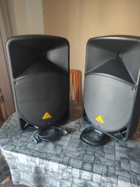 2 pantallas Behringer Eurolive B115D + soportes