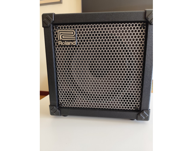 Roland Cube 30X Cosm