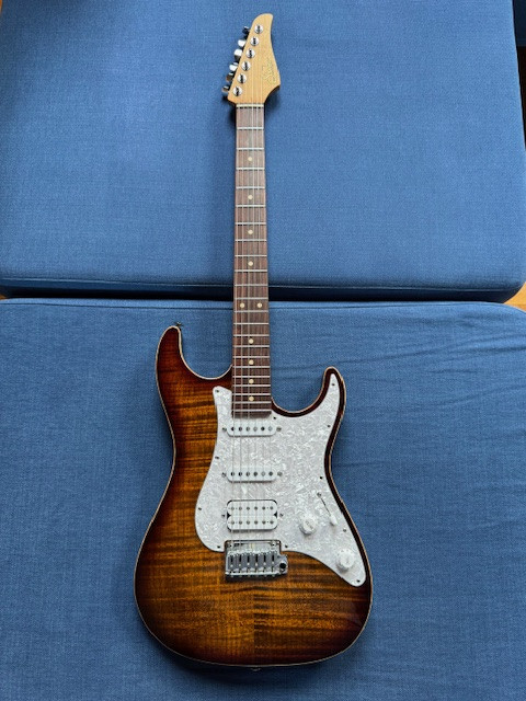 Suhr Standard Plus - Pau Ferro - Bengal Burst