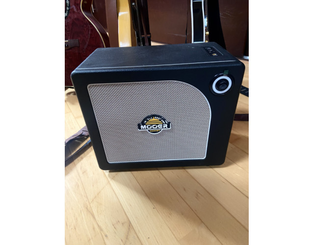 Amplificador Mooer Hornet i30