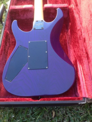 ESP M-II Custom - Rare Purple Finish - SOLD