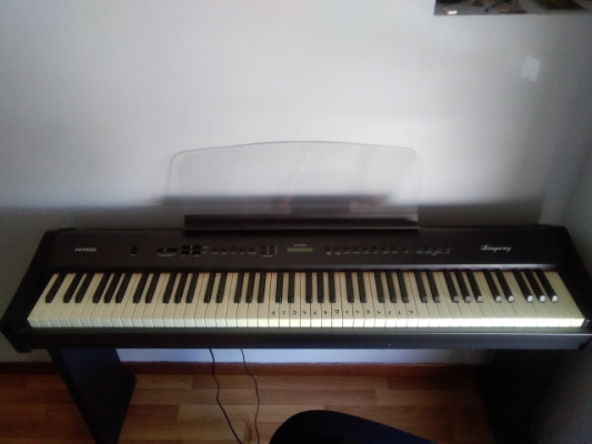 Piano PDP500