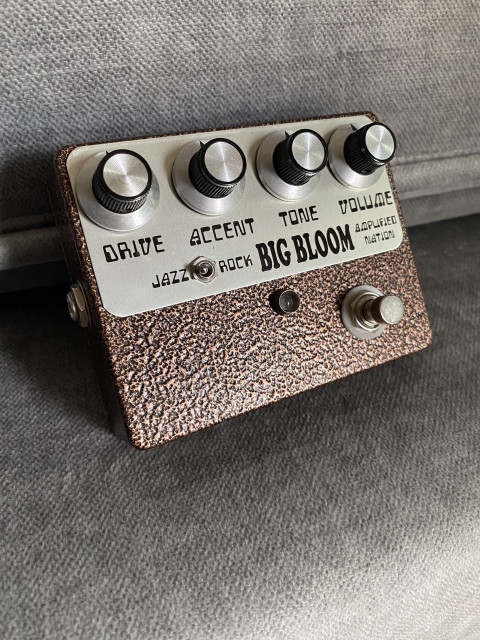 Big bloom de Amplified Nation