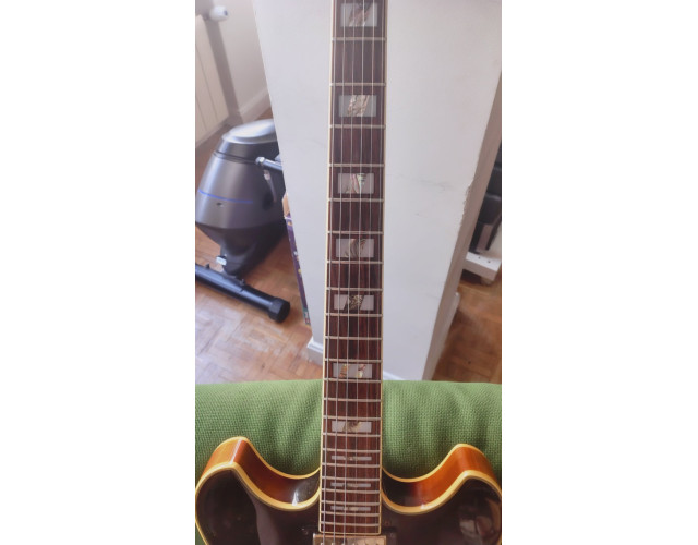 Ibanez artstar as120