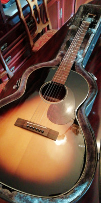 Guitarra acústica Morgan Monroe modelo MGV-100