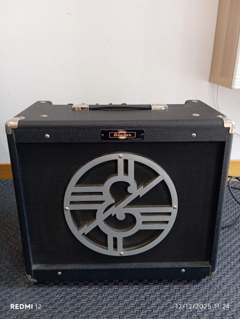 Epiphone Electar 30