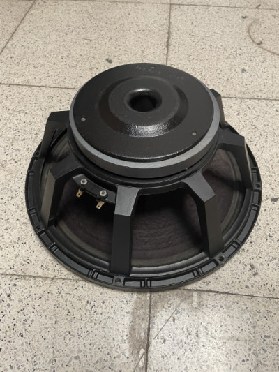 Altavoces EV DL15SP