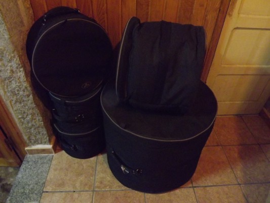 Se venden fundas semirígidas Proline