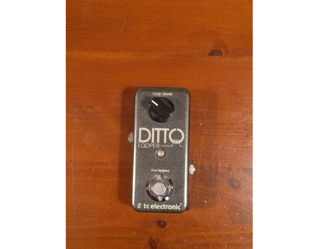 Ditto Looper (reservado)