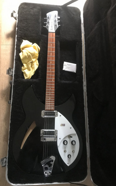 RICKENBACKER 330JG